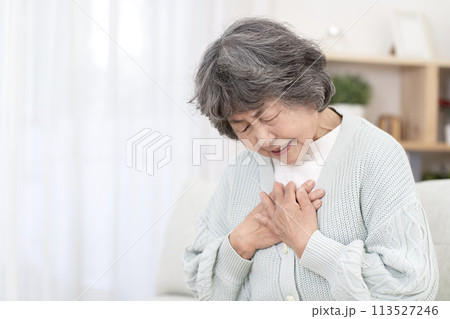 体調不良のシニア女性　胸痛　胃痛　逆流性食道炎 113527246