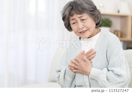 体調不良のシニア女性　胸痛　胃痛　逆流性食道炎　ストレス 113527247
