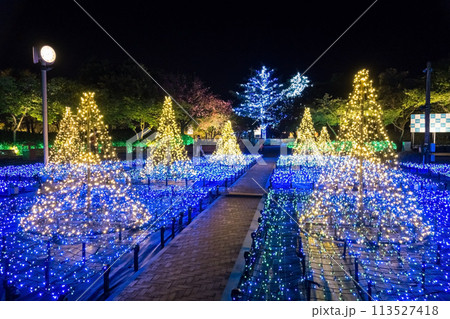なばなの里イルミネーション《三重県桑名市ナガシマリゾート》 なばなの里イルミネーション《三重県桑名市ナガシマリゾート》 113527418