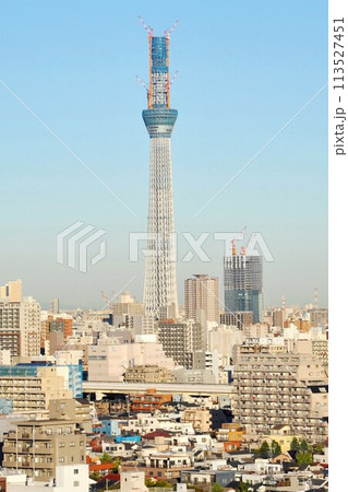 【墨田区　2010年11月2日　東京ノスタルジー　定点撮影「東京スカイツリー」建設風景】 113527451