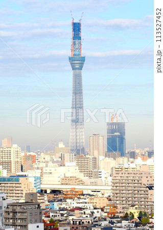 【墨田区　2010年11月16日　東京ノスタルジー　定点撮影「東京スカイツリー」建設風景】 113527452