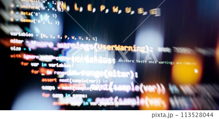 Cyber space concept. programming code on computer screen , abstract screen of software developer. Computer script. Cyber space concept. programming code on computer screen , abstract screen of software developer. Computer script. 113528044