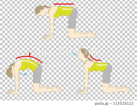 Cat and Cow, Woman in Yoga Pose 113528122