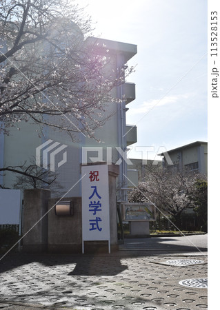 入学式の立て看板~校門と桜(小学校,中学校,高等学校) 入学式の立て看板~校門と桜(小学校,中学校,高等学校) 113528153