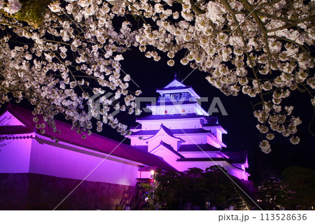 会津若松市 鶴ヶ城と桜のライトアップ 会津若松市 鶴ヶ城と桜のライトアップ 113528636
