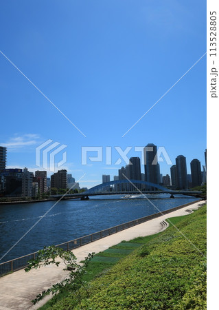 東京都日本橋浜町付近の隅田川沿岸の様子　都市風景 113528805