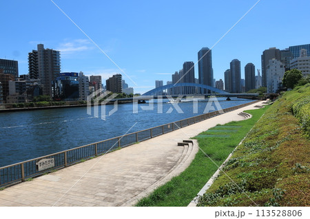 東京都日本橋浜町付近の隅田川沿岸の様子　都市風景 113528806