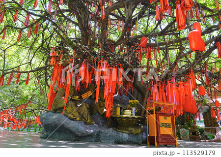 スイティエン公園　ホーチミン　ベトナム 113529179