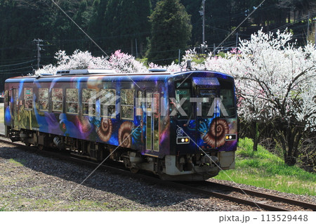花桃満開のローカル駅を走る越美北線ラッピング仕様列車 113529448