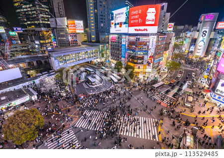 日本の東京都市景観 桜…インバウンド復活…外国人観光客で賑わう渋谷…桜も満開。希望の時代へ＝4月5日 113529485