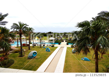 ANAインターコンチネンタル石垣リゾートの庭 113529835