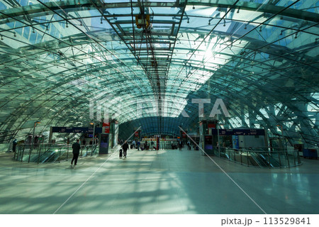 フランクフルト空港長距離列車駅 フランクフルト空港長距離列車駅 113529841