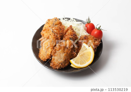 美味しそうなカキフライ 113530219