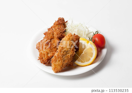 美味しそうなカキフライ 美味しそうなカキフライ 113530235