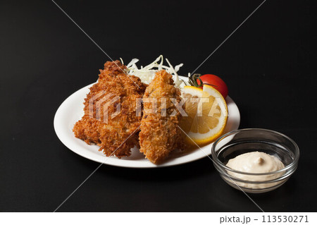 美味しそうなカキフライ 美味しそうなカキフライ 113530271