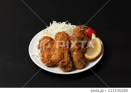 美味しそうなカキフライ 美味しそうなカキフライ 113530280