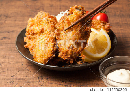 美味しそうなカキフライ 美味しそうなカキフライ 113530296