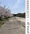 桜と液状化した道 113530499
