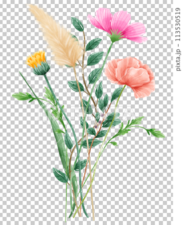 Handdrawn watercolor illustration clipart of detailed Spring Wildflowers meadow bouquets collection Floral arrangements greeting cards wedding invitation Elegant ethereal nature 113530519