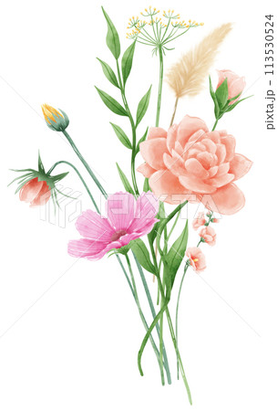 Handdrawn watercolor illustration clipart of detailed Spring Wildflowers meadow bouquets collection Floral arrangements greeting cards wedding invitation Elegant ethereal nature 113530524