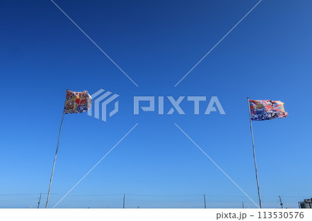 青空に掲げた大漁旗　九十九里海の道 113530576