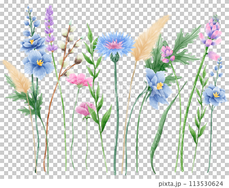 Handdrawn watercolor illustration clipart of detailed Spring Wildflowers meadow compostions collection Floral arrangements greeting cards wedding invitation Elegant ethereal nature 113530624