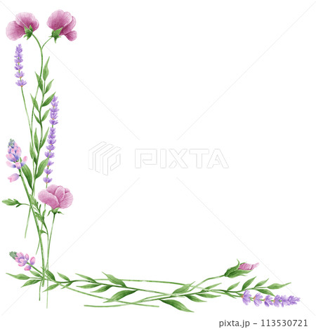 Handdrawn watercolor illustration clipart of detailed Spring Wildflowers meadow frame border collection Floral arrangements greeting cards wedding invitation Elegant ethereal nature Handdrawn watercolor illustration clipart of detailed Spring Wildflowers meadow frame border collection Floral arrangements greeting cards wedding invitation Elegant ethereal nature 113530721