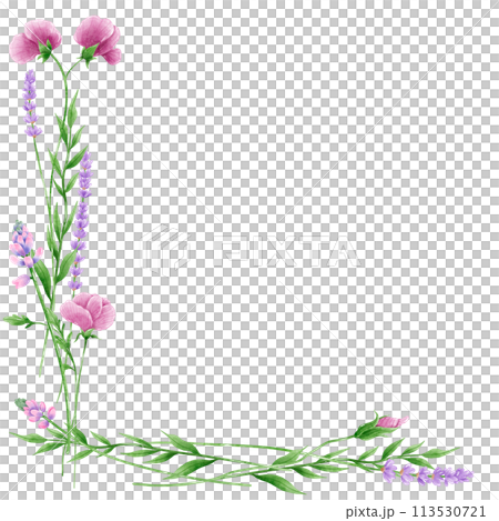Handdrawn watercolor illustration clipart of detailed Spring Wildflowers meadow frame border collection Floral arrangements greeting cards wedding invitation Elegant ethereal nature Handdrawn watercolor illustration clipart of detailed Spring Wildflowers meadow frame border collection Floral arrangements greeting cards wedding invitation Elegant ethereal nature 113530721