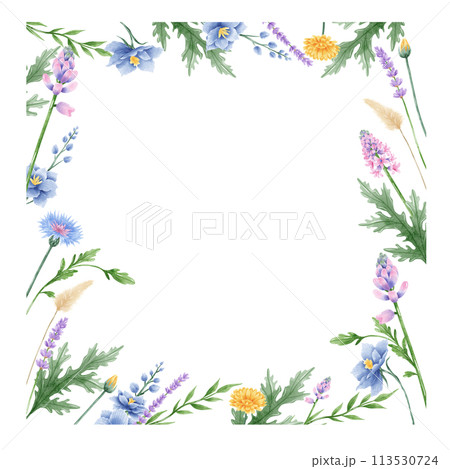 Handdrawn watercolor illustration clipart of detailed Spring Wildflowers meadow frame border collection Floral arrangements greeting cards wedding invitation Elegant ethereal nature 113530724