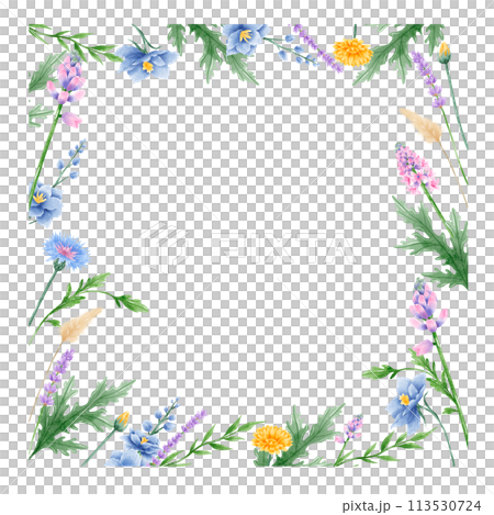 Handdrawn watercolor illustration clipart of detailed Spring Wildflowers meadow frame border collection Floral arrangements greeting cards wedding invitation Elegant ethereal nature 113530724