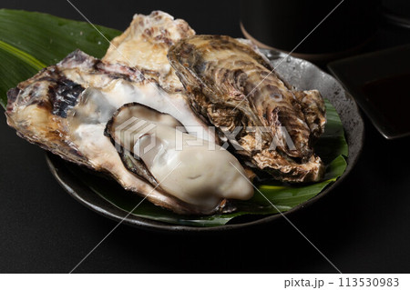 新鮮な生牡蠣 113530983