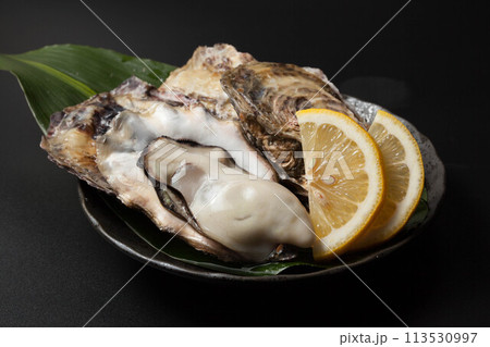 新鮮な生牡蠣 新鮮な生牡蠣 113530997