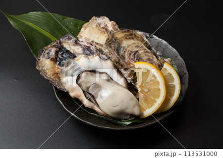 新鮮な生牡蠣 113531000