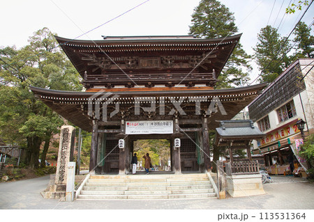 桜並木が続く谷汲山華厳寺 桜並木が続く谷汲山華厳寺 113531364