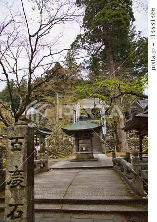 桜並木が続く谷汲山華厳寺 113531366