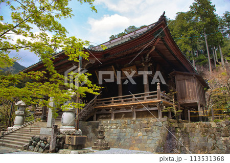 桜並木が続く谷汲山華厳寺 桜並木が続く谷汲山華厳寺 113531368