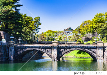 皇居 ( 江戸城 ) 伏見櫓 と 二重橋 は 都内観光 の 定番スポット 【 東京都 の 風景 】 113531450