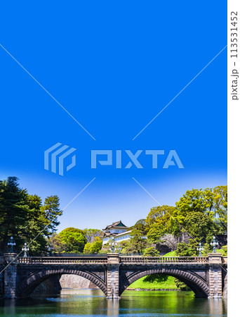 皇居 ( 江戸城 ) 伏見櫓 と 二重橋 は 都内観光 の 定番スポット 【 東京都 の 風景 】 113531452