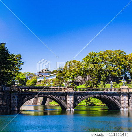 皇居 ( 江戸城 ) 伏見櫓 と 二重橋 は 都内観光 の 定番スポット 【 東京都 の 風景 】 113531454