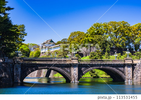 皇居 ( 江戸城 ) 伏見櫓 と 二重橋 は 都内観光 の 定番スポット 【 東京都 の 風景 】 113531455