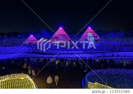 なばなの里イルミネーション・黄金のピラミッド《三重県桑名市ナガシマリゾート》 113531560