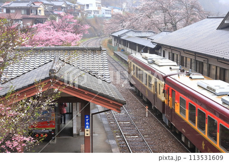 わたらせ渓谷鐵道「4月上旬雨の日の水沼駅風景」 113531609