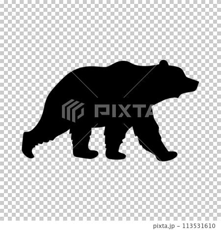 Bear silhouette 113531610