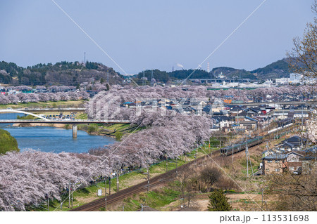 一目千本桜 満開のソメイヨシノが咲き誇る白石川堤を花見客を乗せて電車が走る 一目千本桜 満開のソメイヨシノが咲き誇る白石川堤を花見客を乗せて電車が走る 113531698