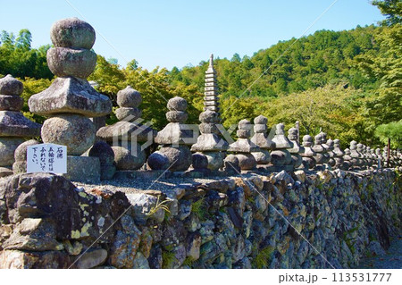 化野念仏寺の石垣と五輪塔 化野念仏寺の石垣と五輪塔 113531777