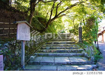 化野念仏寺へ続く石段 113531786
