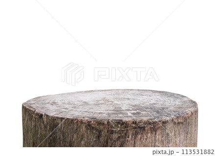 tree stump isolated on white background 113531882