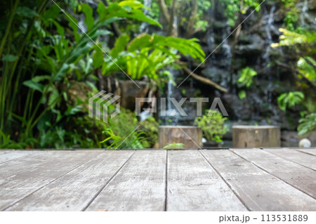 Empty wood table top with blur green tropical garden background for product display Empty wood table top with blur green tropical garden background for product display 113531889