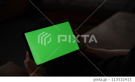 Pine forest after a large scale fire in France, Landscape of a burnt forest, New green vegetation after a forest fire 113532415