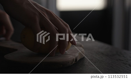 Pine forest after a large scale fire in France, Landscape of a burnt forest, New green vegetation after a forest fire 113532551